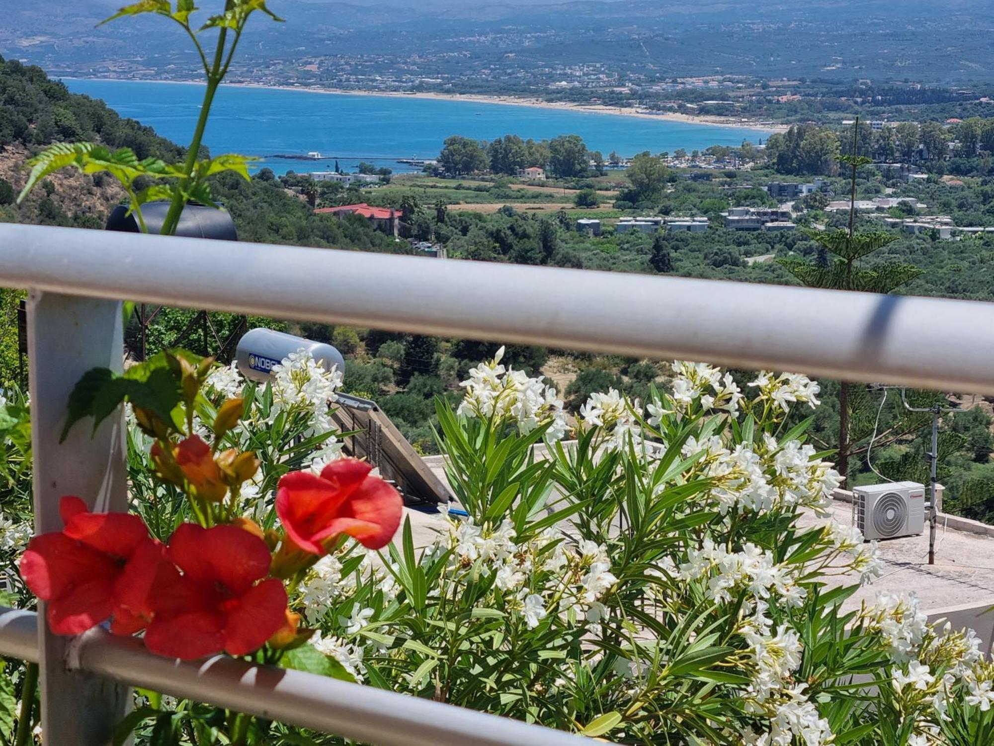 Aloe Villa Chania Crete Георгіуполіс Екстер'єр фото